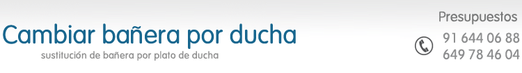 Cambiar ba&ntilde;era por ducha